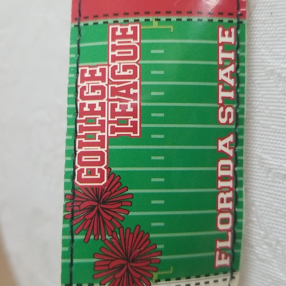 🏈 Florida State Belt (FSU): Football - Picture 6 of 9
